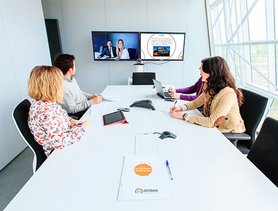 imagen_videoconferencia_2